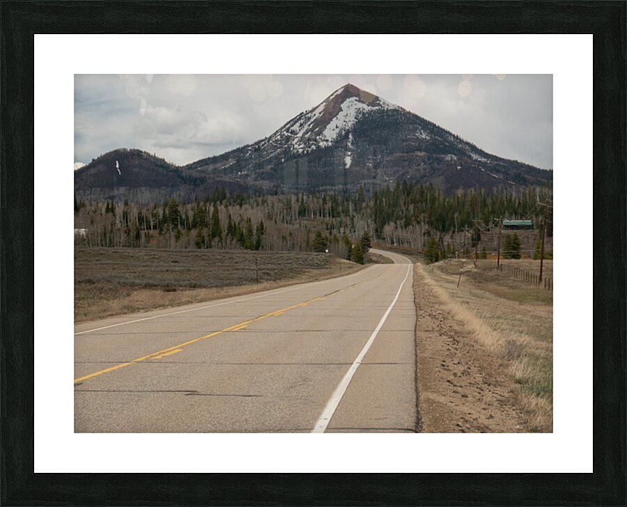 Spring 3 Picture Frame print