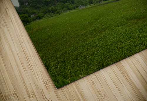 Vietnam 16 Matt Schantz puzzle