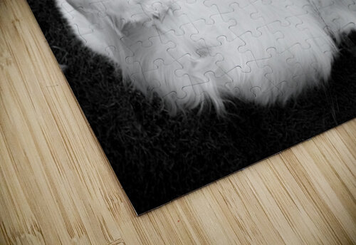 Iya 5 Matt Schantz puzzle