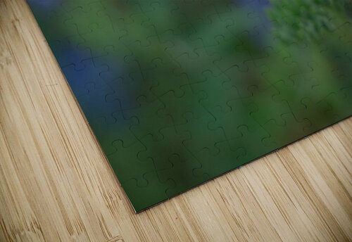 Bees 1 Matt Schantz puzzle