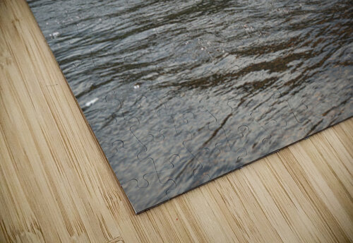 Yampa 2 Matt Schantz puzzle