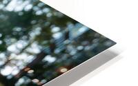 Iya 1 HD Metal print