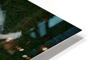 Iya 4 HD Metal print