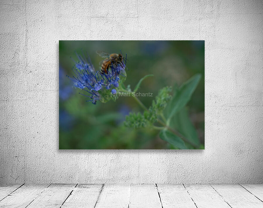 Bees 1 Wall Preview