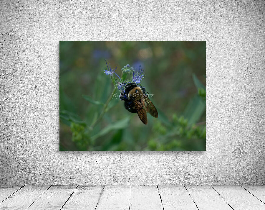 Bees 2 Wall Preview