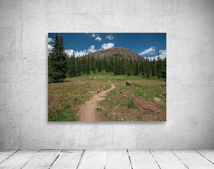 Flat Tops Wilderness 1 Wall Preview
