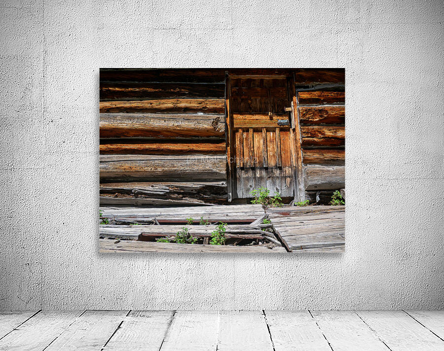 State Forest State Park 3 Wall Preview