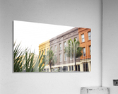 04 Acrylic Print