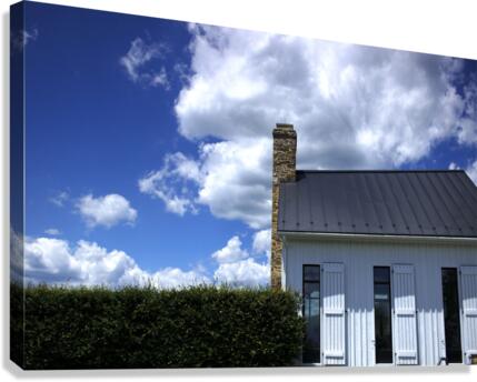 02 Canvas Print