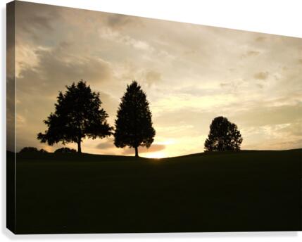 00 Canvas Print
