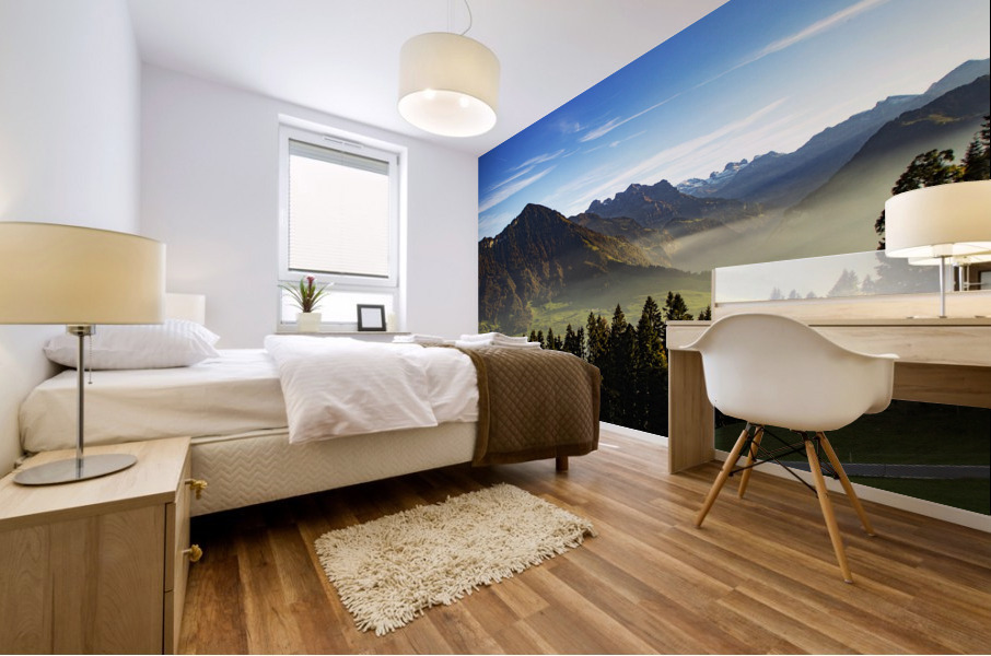 10 Mural print
