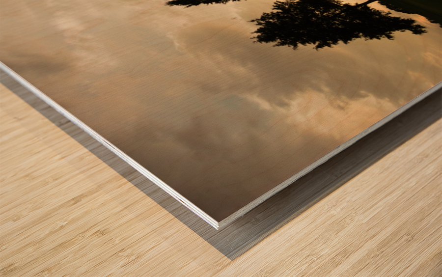 00 Wood print