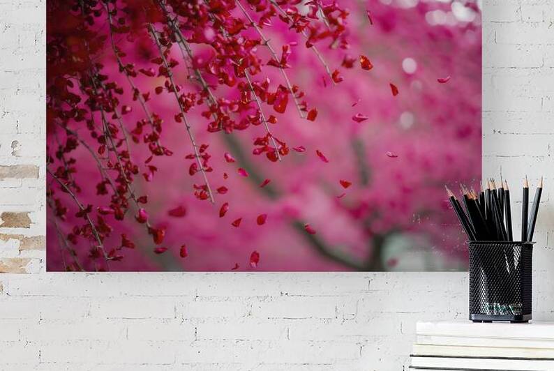 A stunning blurred background of red petals gentl by StefanoPignataro