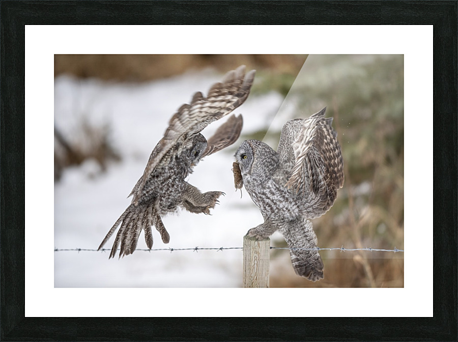 2094 - The Exchange Picture Frame print
