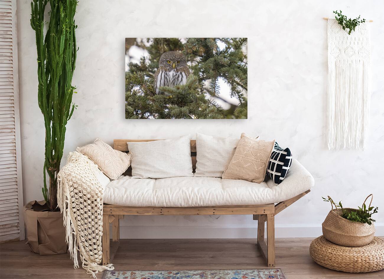 Northern Pygmy Owl 7469  Reproduction