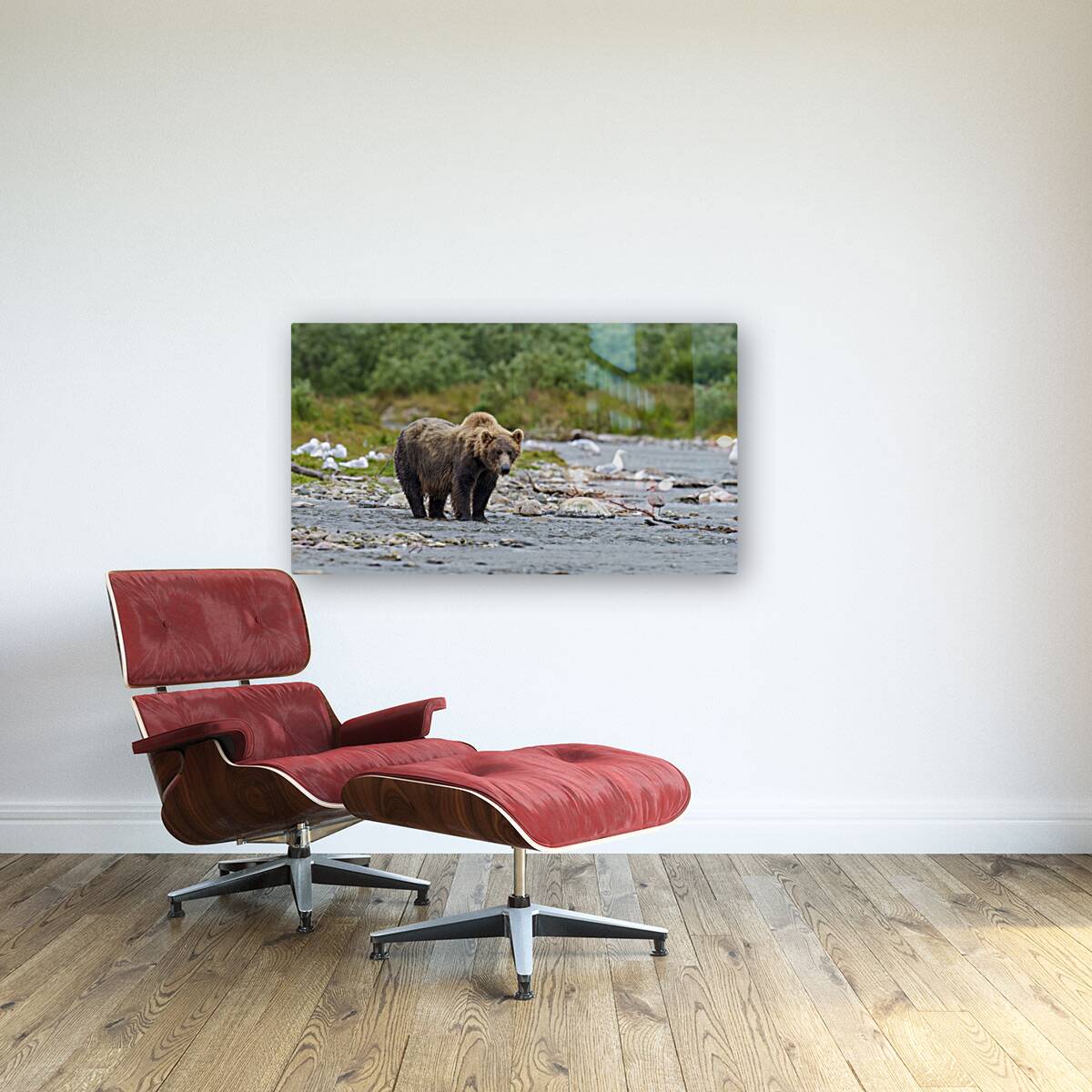 Coastal Brown Bear 5952 Reproduction