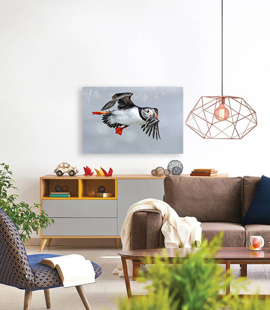 Atlantic Puffin 6783 Reproduction
