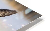 The Take Off HD Metal print
