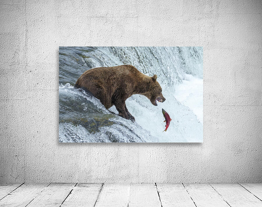Catching Fish 3700  Wall Preview