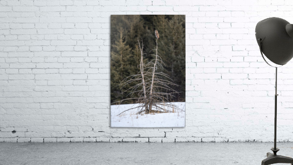 3241 - Tree Topper Wall Preview