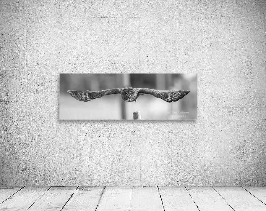 Face to Face  Wall Preview