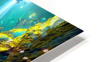 pirate gold 2 HD Metal print