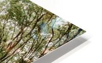 Mystical Road HD Metal print