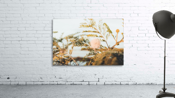 Bloom Wall Preview