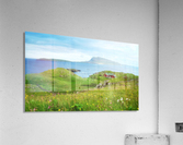 Faroe green field Acrylic Print