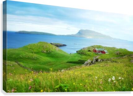 Faroe green field Canvas Print