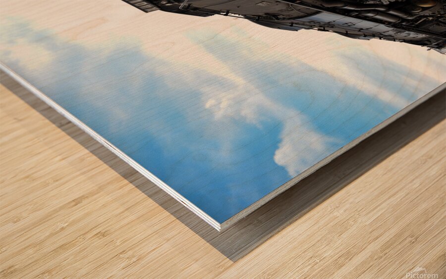 Big Boy Train Wood print