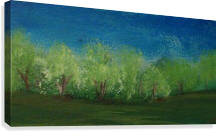 Trees Canvas Print
