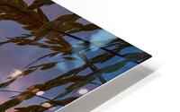 Sunset Through Seaoats HD Metal print