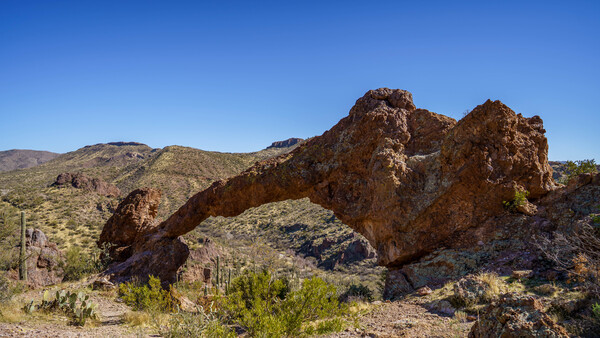 Elephant Arch  Digital Download