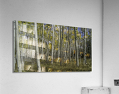 Camping with Aspens  Acrylic Print