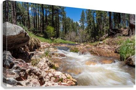 East Verde River 2 Canvas Print