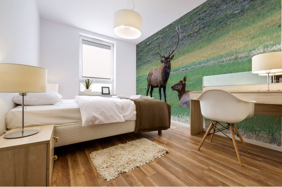 Yellowstone NP 4 Mural print