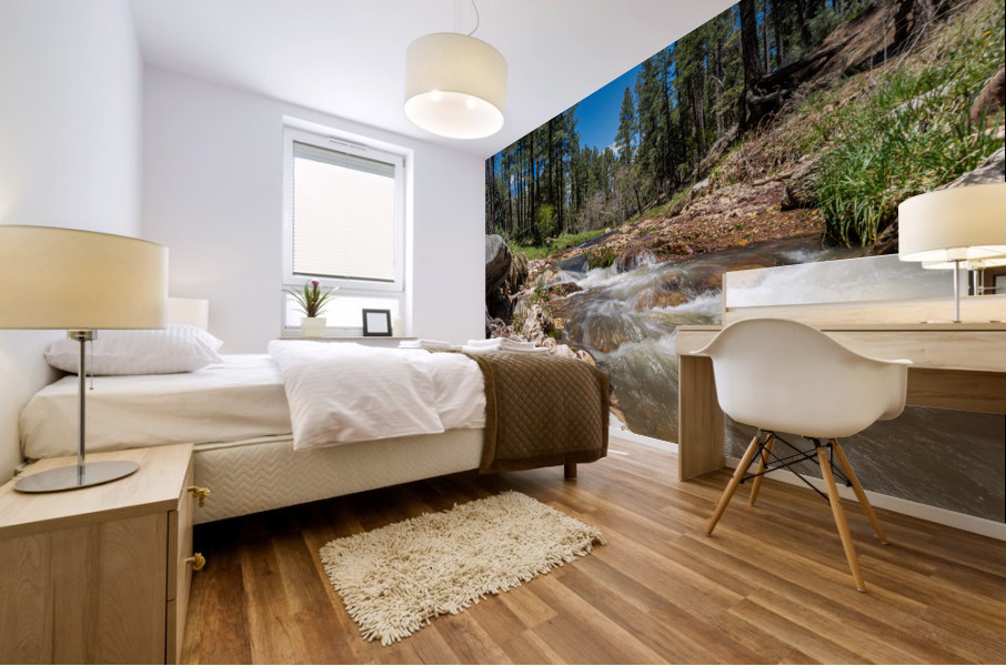 East Verde River Mural print