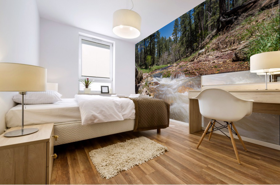 East Verde River 2 Mural print
