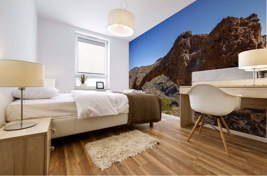 Elephant Arch  Mural print
