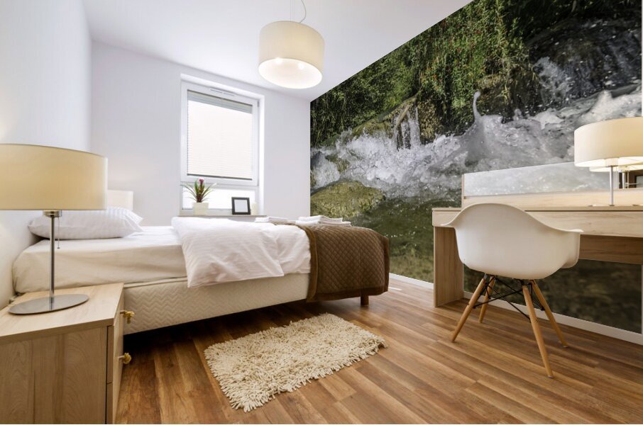 Fossil Creek  Mural print