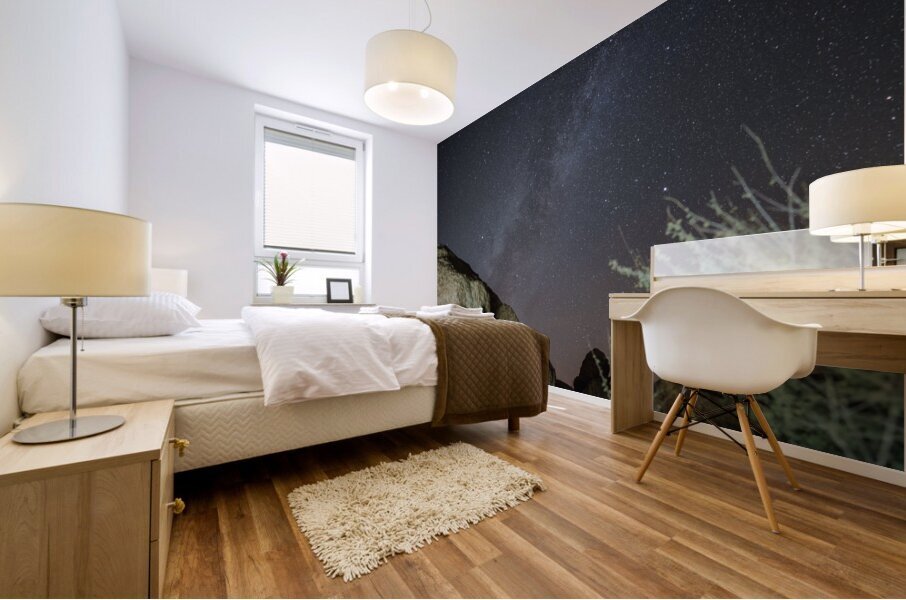 Milky Way Boulder  Mural print