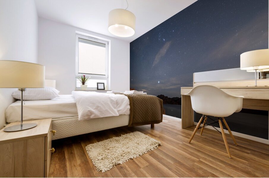 Geminids Meteor Shower 3 Mural print