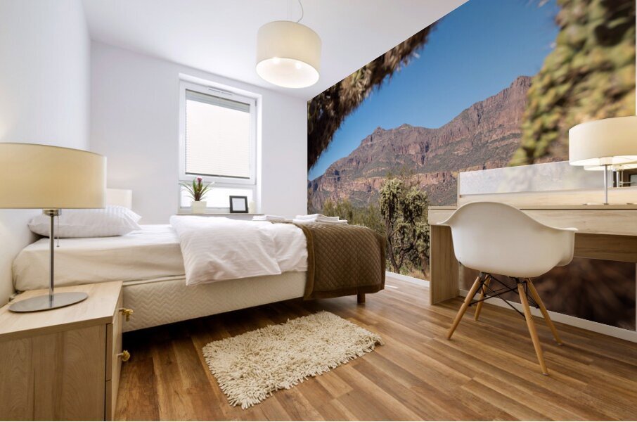 Superstition Mountains 8 Mural print