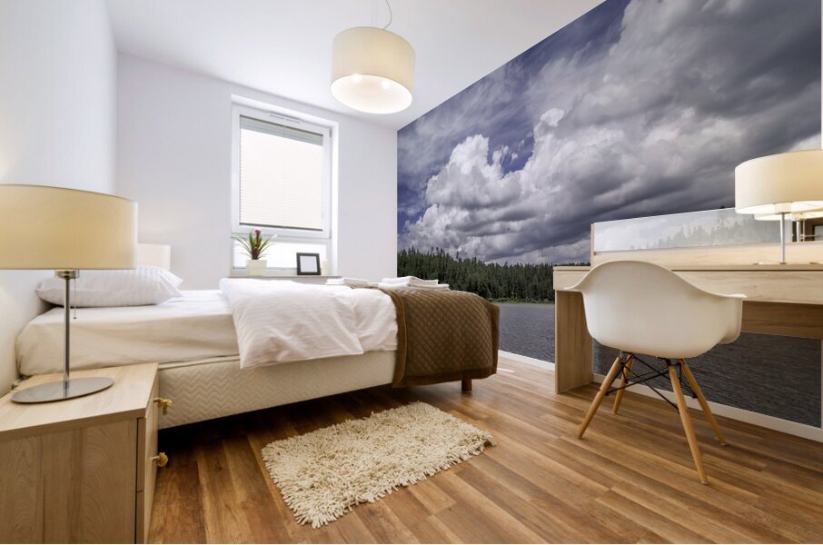 Pacheta Lake 3 Mural print