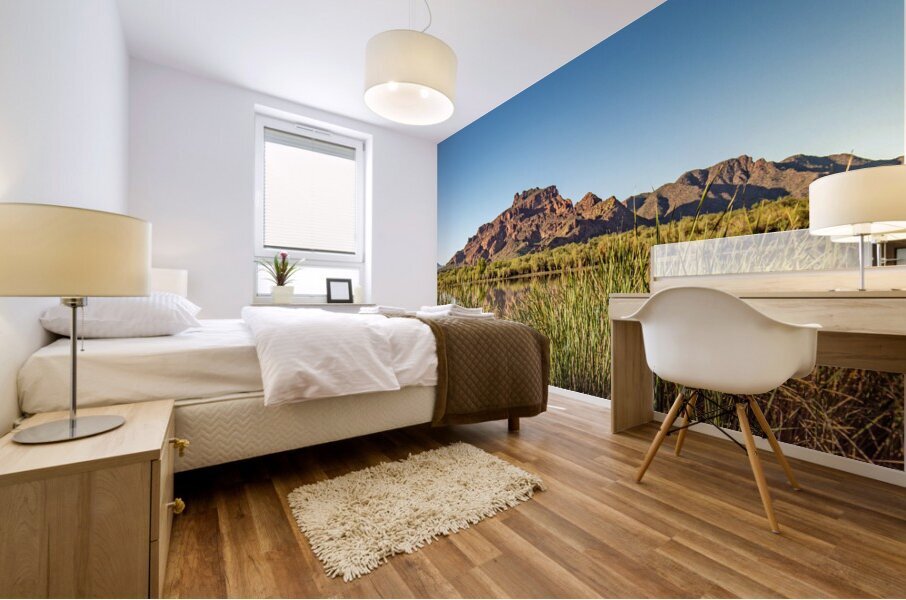 Red Mountain Mural print