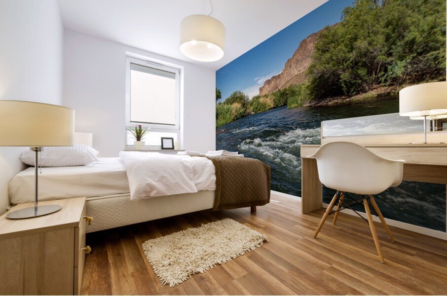 Salt River 6 Mural print
