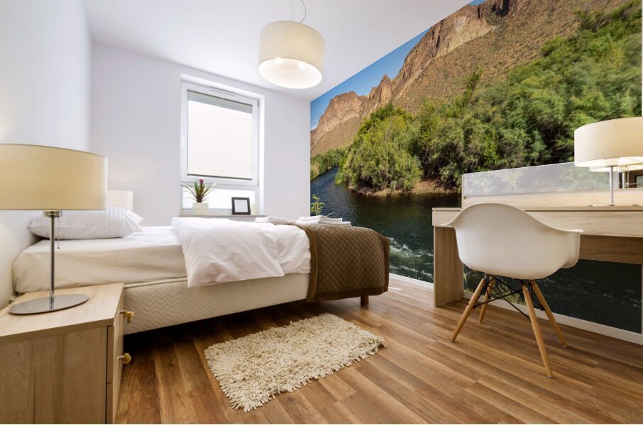 Salt River 9 Mural print