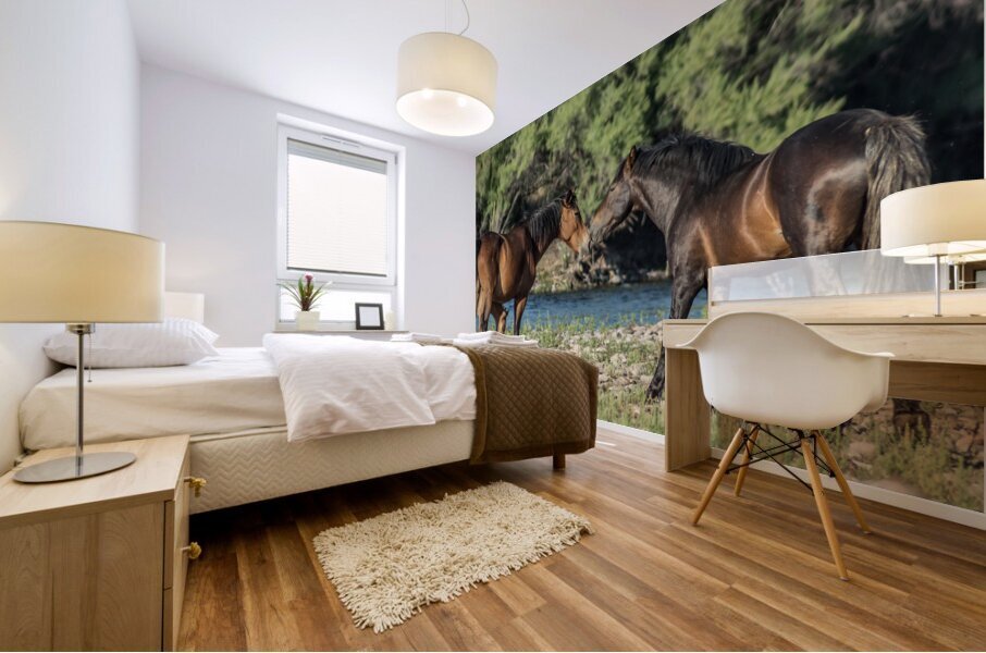 Salt River Horses 6 Mural print