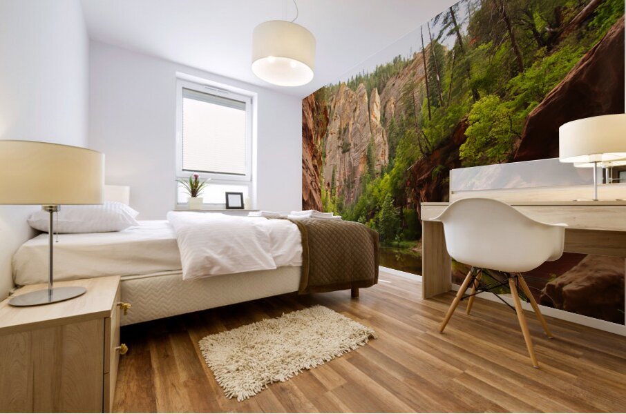 West Fork  Mural print